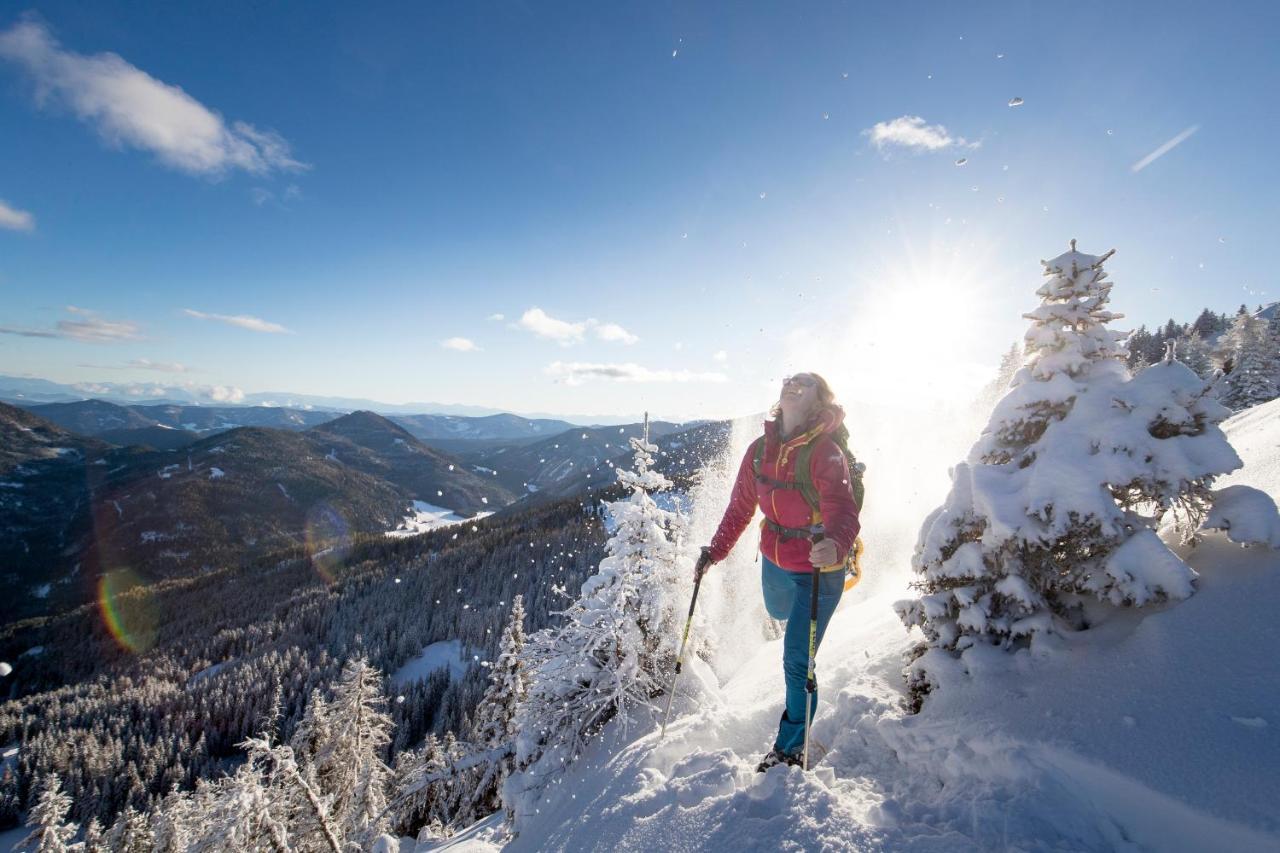 Urlaub Am Bauernhof Gaenser Sankt Peter am Kammersberg Exteriör bild